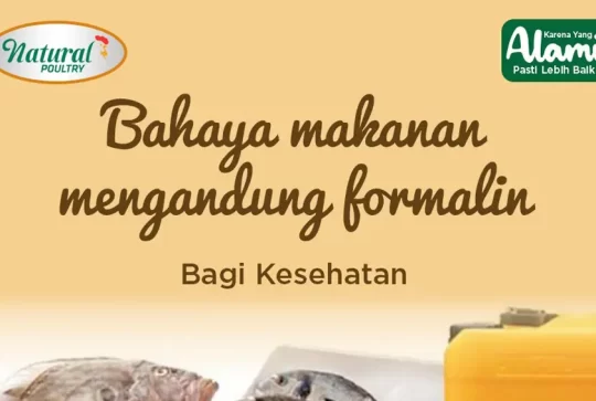 bahaya makanan mengandung formalin
