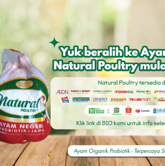 Tips Menyimpan Daging Ayam Agar Tahan Lama