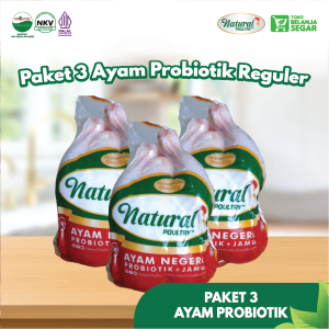 ayam-negeri-probiotik-natural-poultry