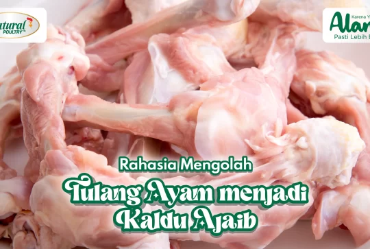 RAHASIA MENGOLAH TULANG AYAM MENJADI KALDU AJAIB!